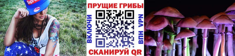 Галлюциногенные грибы мицелий Железногорск-Илимский