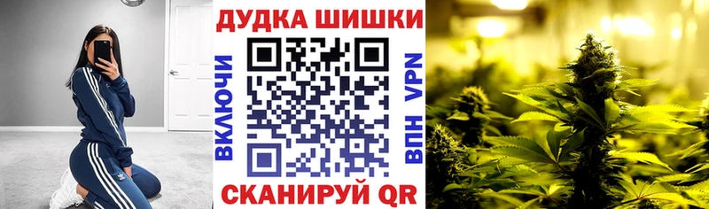 кракен как зайти  Железногорск-Илимский  Шишки марихуана THC 21% 